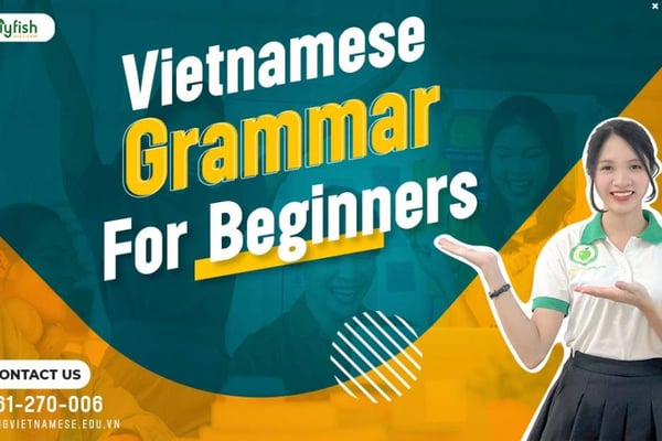 Tiếng Việt Cơ Bản cho Người Lớn — Online
