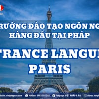 Lớp Văn Hóa và Ngôn Ngữ Việt tại Paris