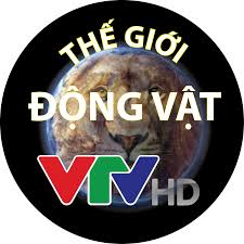 Thế Giới Động Vật – VTV2 – 1