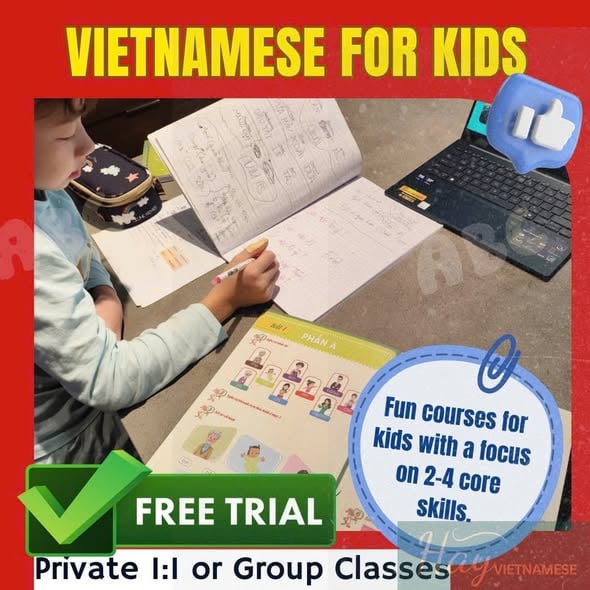 HayVietnamese – 3