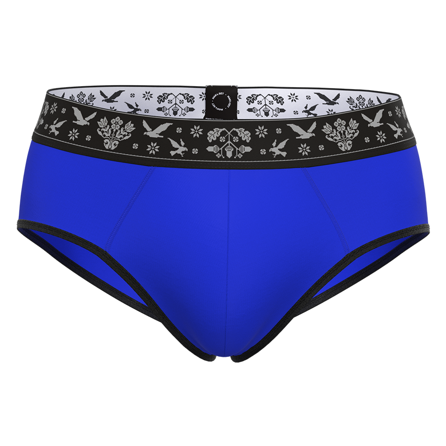 Мужские трусы брифы Ukrainian Anatomic Briefs 2.0 Micromodal, электрик MansSet