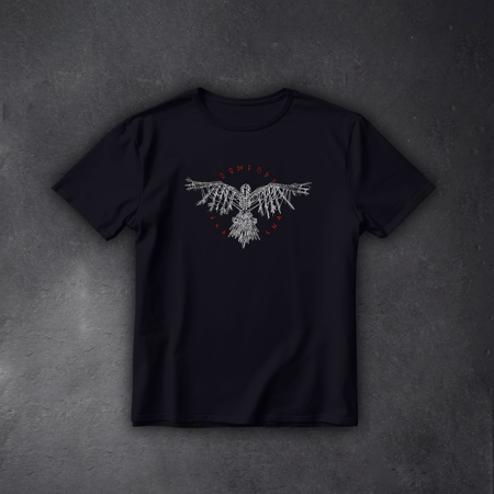 Футболка Raven of Odin чорная We feel