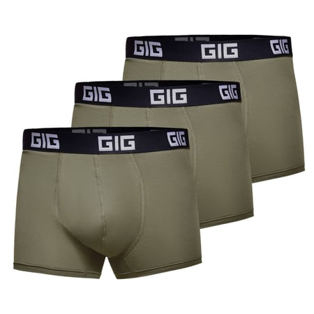 Комплект трусів Dynamic. Колір Ranger Green, 3 шт S GIG MILITARY