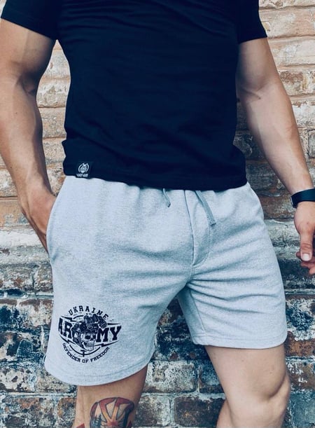 Шорти Army gray