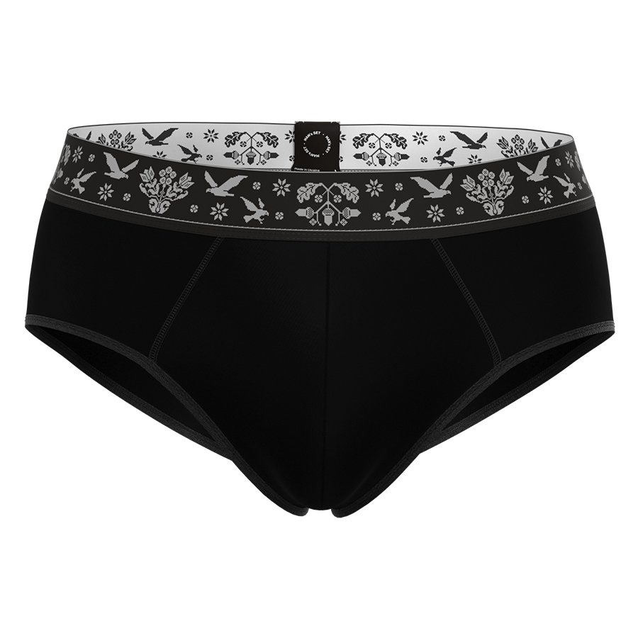 Мужские трусы брифы Ukrainian Anatomic Briefs 2.0 Micromodal, черный MansSet