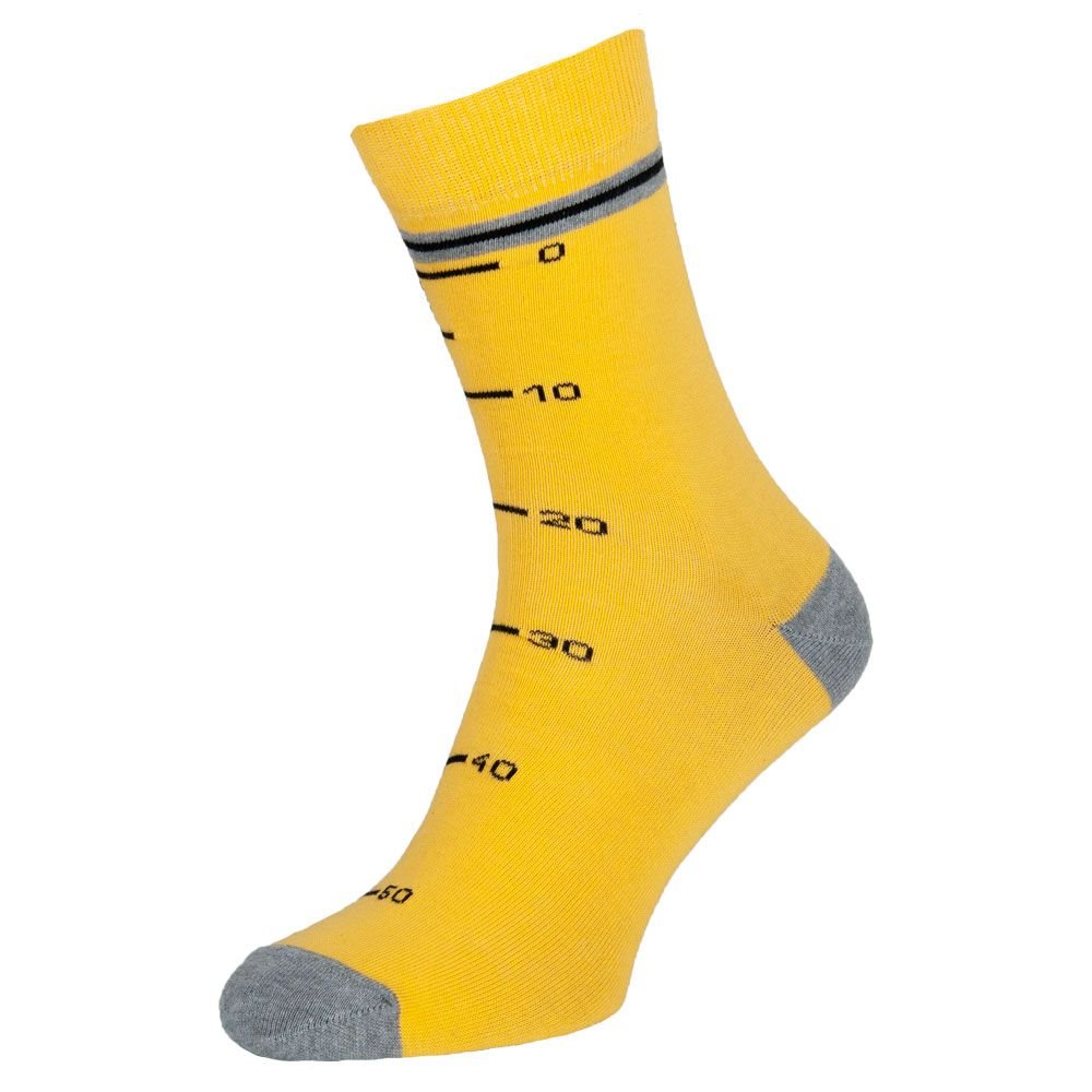 Шкарпетки чоловічі кольорові з бавовни, жовто-сірий Майстер MansSet