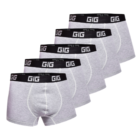 Комплект трусів Dynamic. Колір Сірий, 5 шт GIG MILITARY