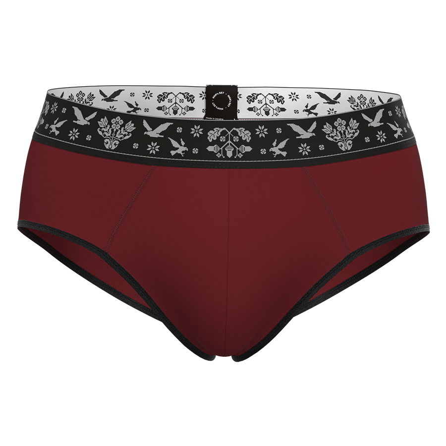 Чоловічі труси брифи Ukrainian Anatomic Briefs 2.0 Micromodal, бордовий MansSet