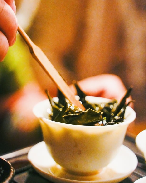 Student examining tea leaves