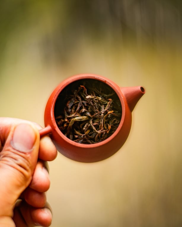 Hand holding small red teapot with loose leaves