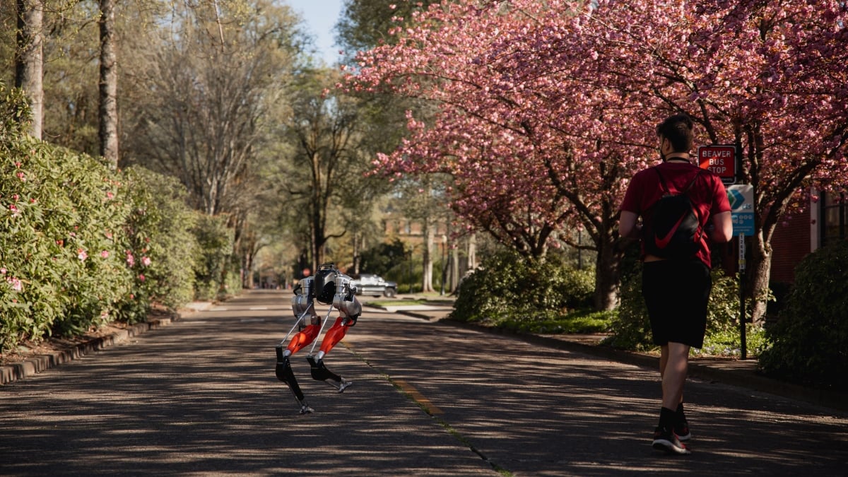 Fotografía del robot Cassie en compañía de un hombre de espaldas en medio de un camino arbolado. Cassie es un robot bípedo que rompió una marca de 5 kilmetros que recorrió de forma autónoma. En la imagen se aprecian las extremidades inferiores de Cassie en color rojo y negro, en posición de correr.
