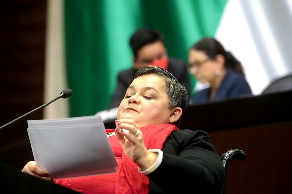 Norma Aceves exponiendo en la Cámara de Diputados.