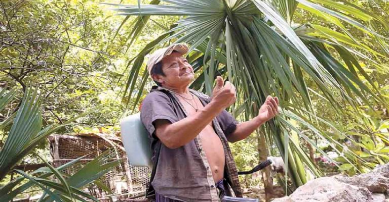 Hombre en medio de la selva haciendo una seña con los dedos de ambas manos juntos al centro de la palma de la mano.