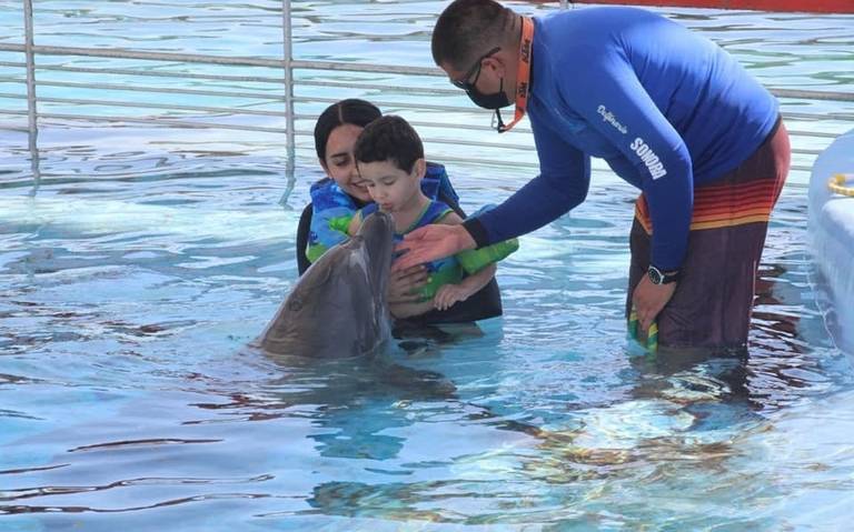 Niño dentro de una alberca con un delfín acompañado de su mamá y un instructor.
