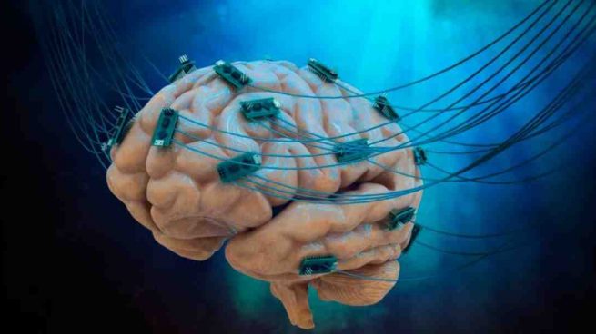 Cerebro conectado a un par de cables.