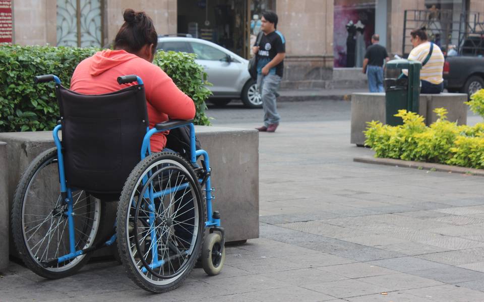 Mujer usuaria en silla de ruedas frente a una jardinera.