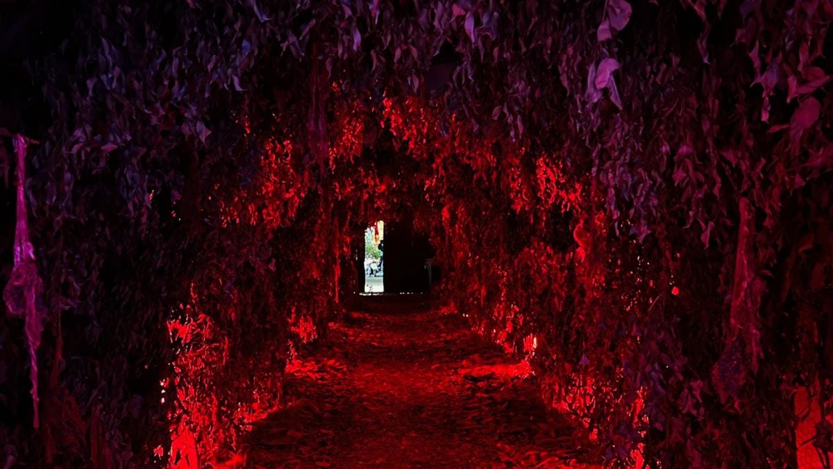 Túnel con luces de color rojo proyectadas sobre grandes pedazos de tela que cuelgan alrededor de las paredes y el techo.
