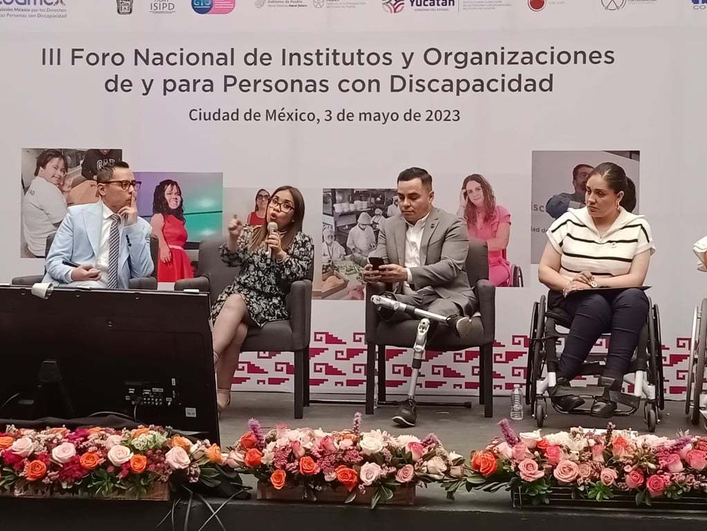 Panel del III Foro de Institutos y Organizaciones de y para personas con discapacidad