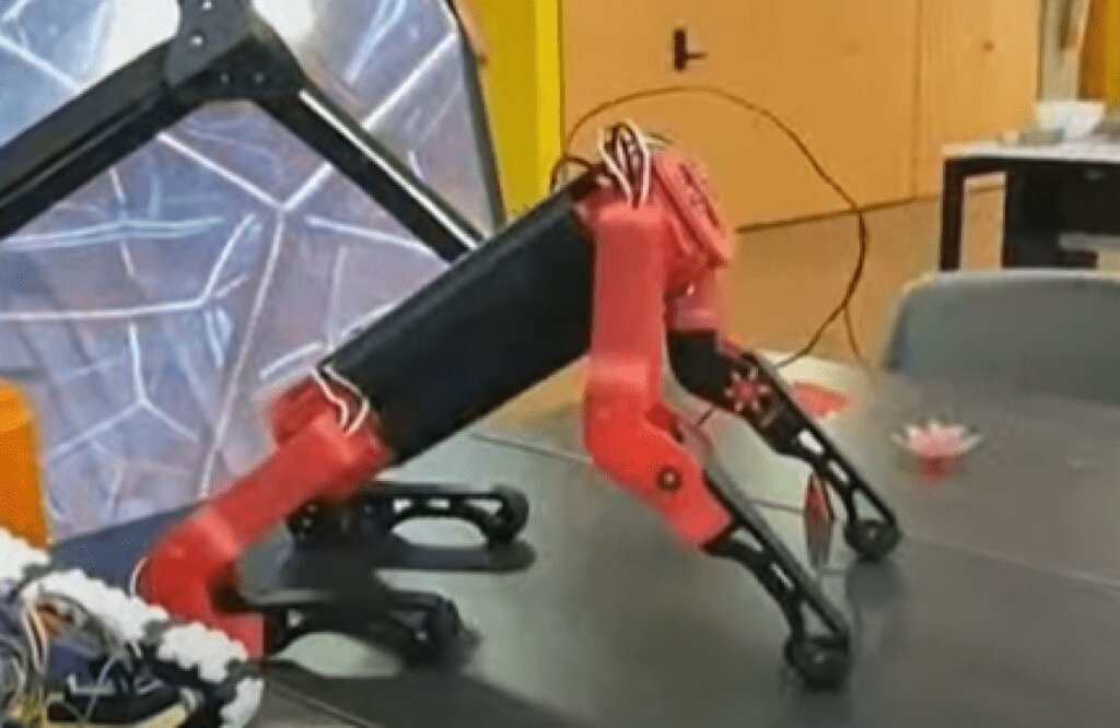 Un perro robot creado en Colombia para ayudar a personas con discapacidad