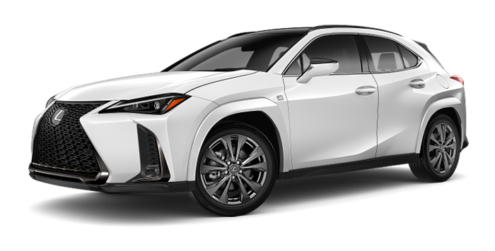 Premium Hatchbacks