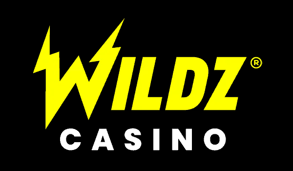 Wildz kasino tukee Visa-maksutapaa