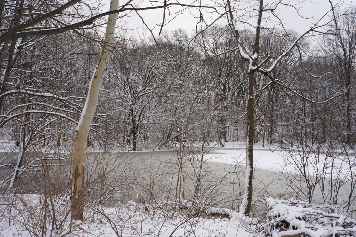 snow 2025-12-27-75.png