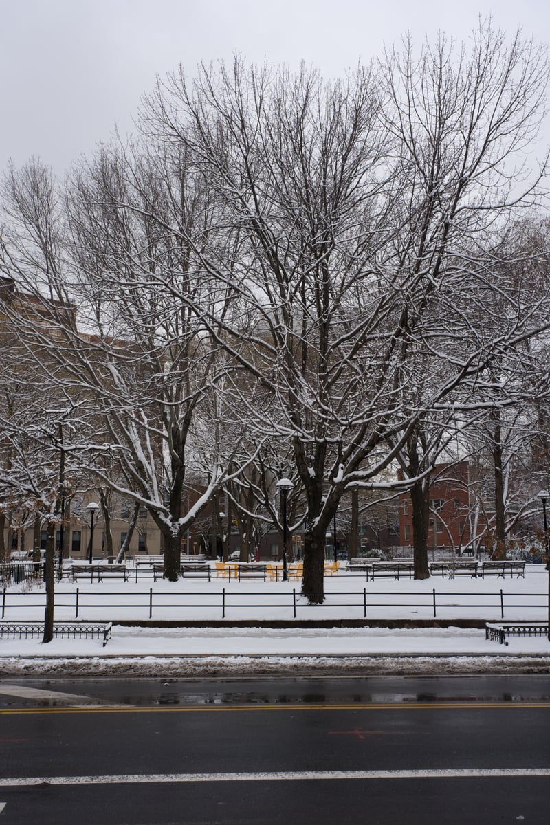 snow 2025-12-27-8.png
