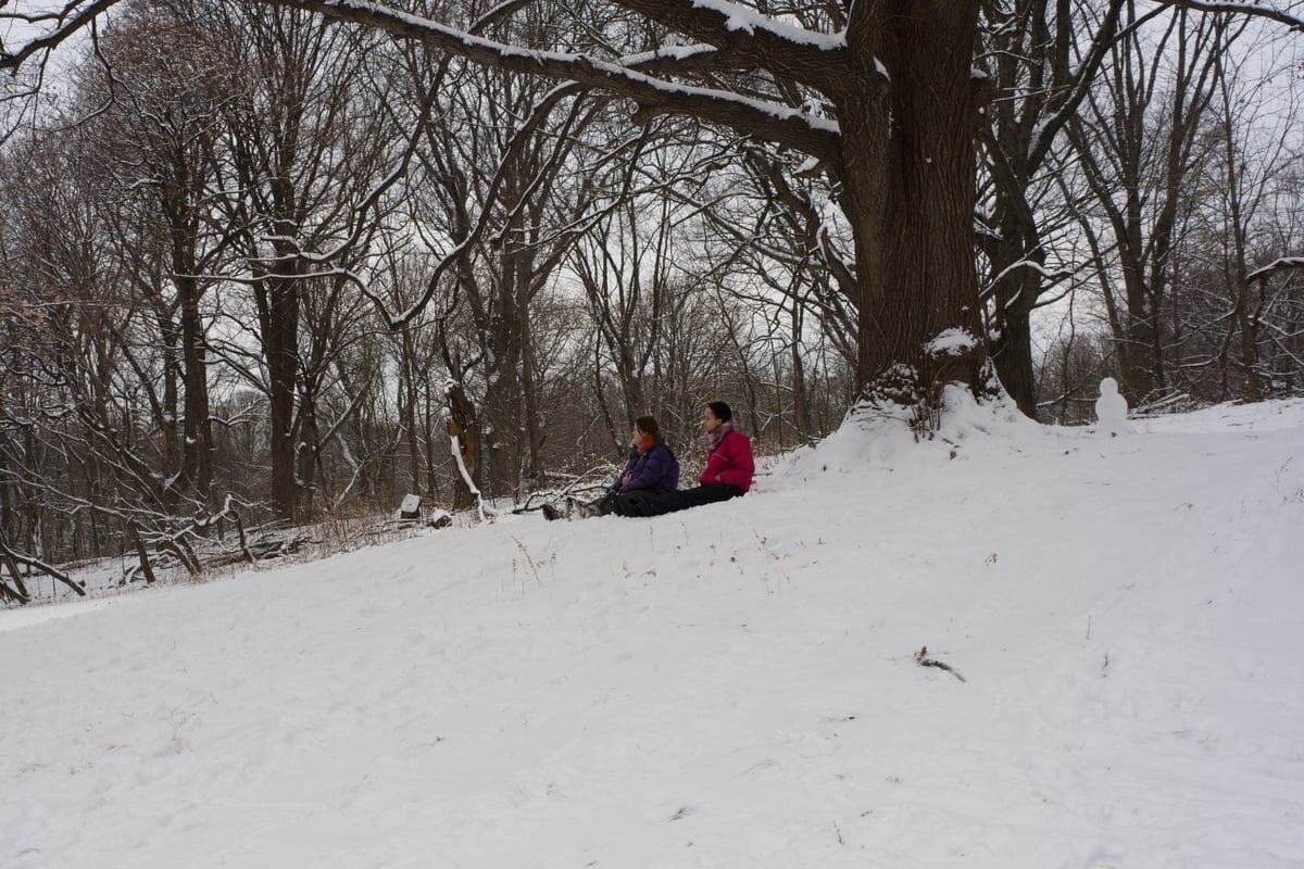 snow 2025-12-27-103.png