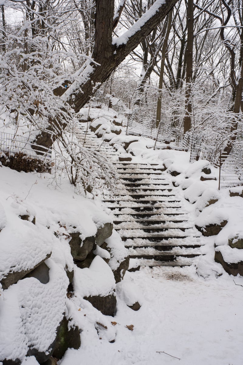 snow 2025-12-27-91.png