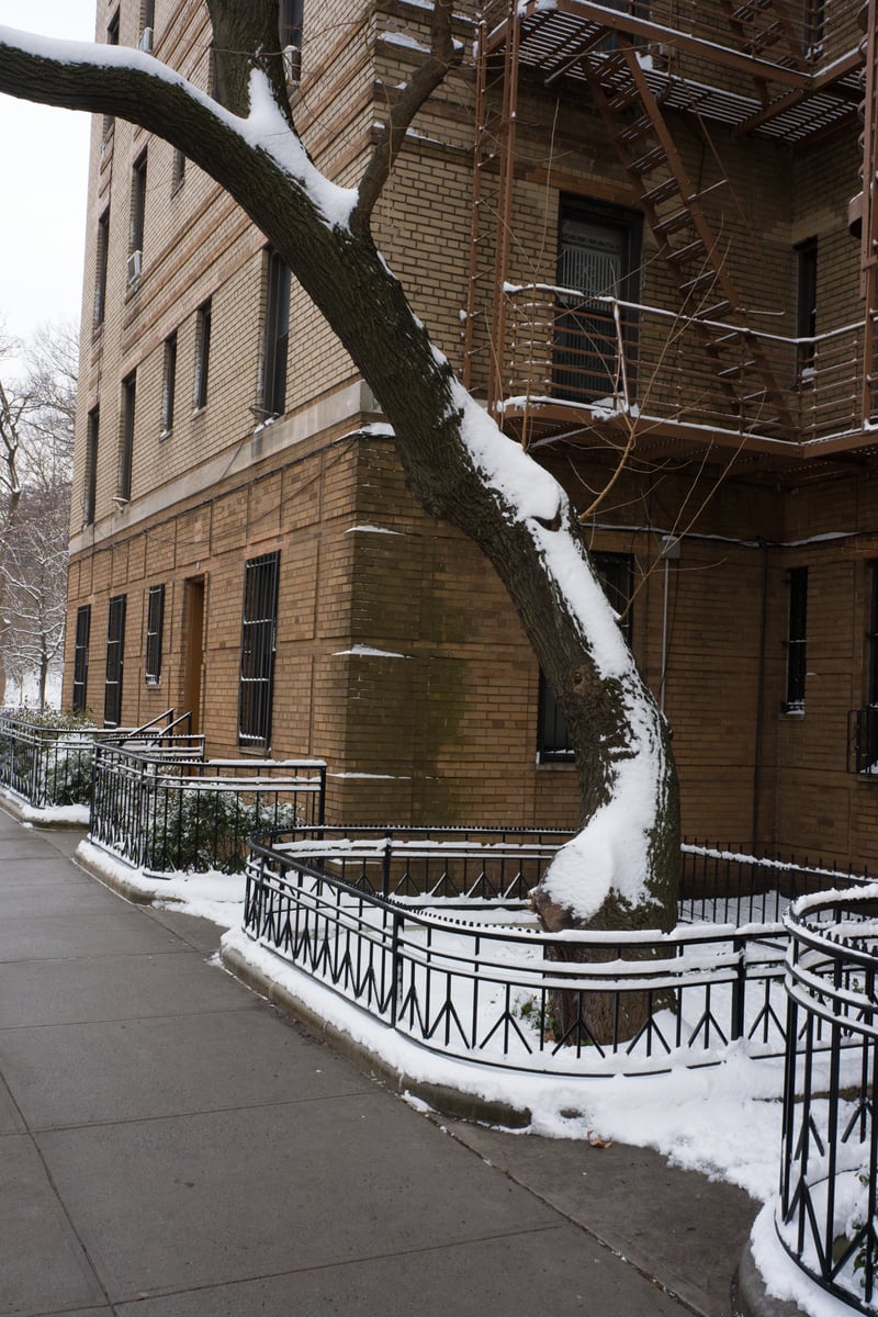 snow 2025-12-27-26.png