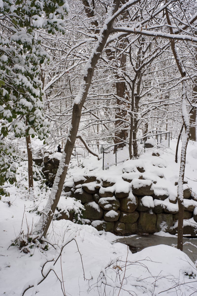 snow 2025-12-27-88.png
