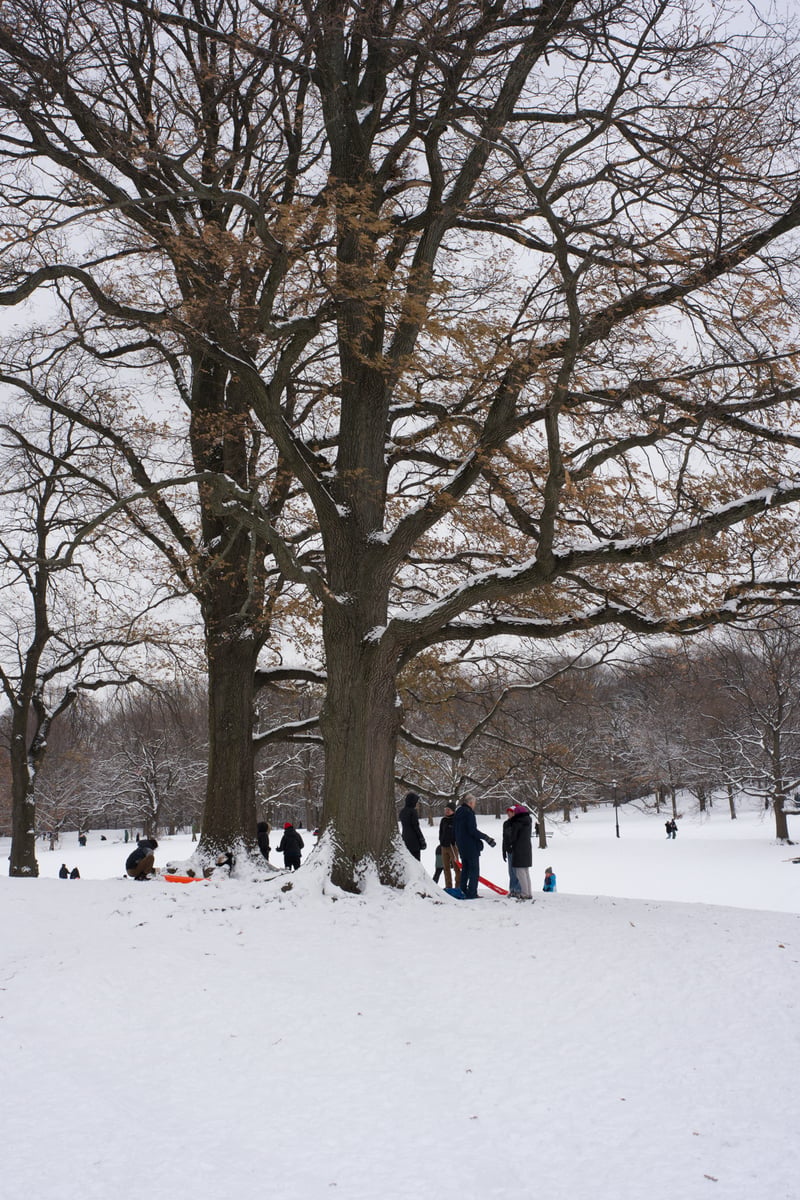 snow 2025-12-27-47.png