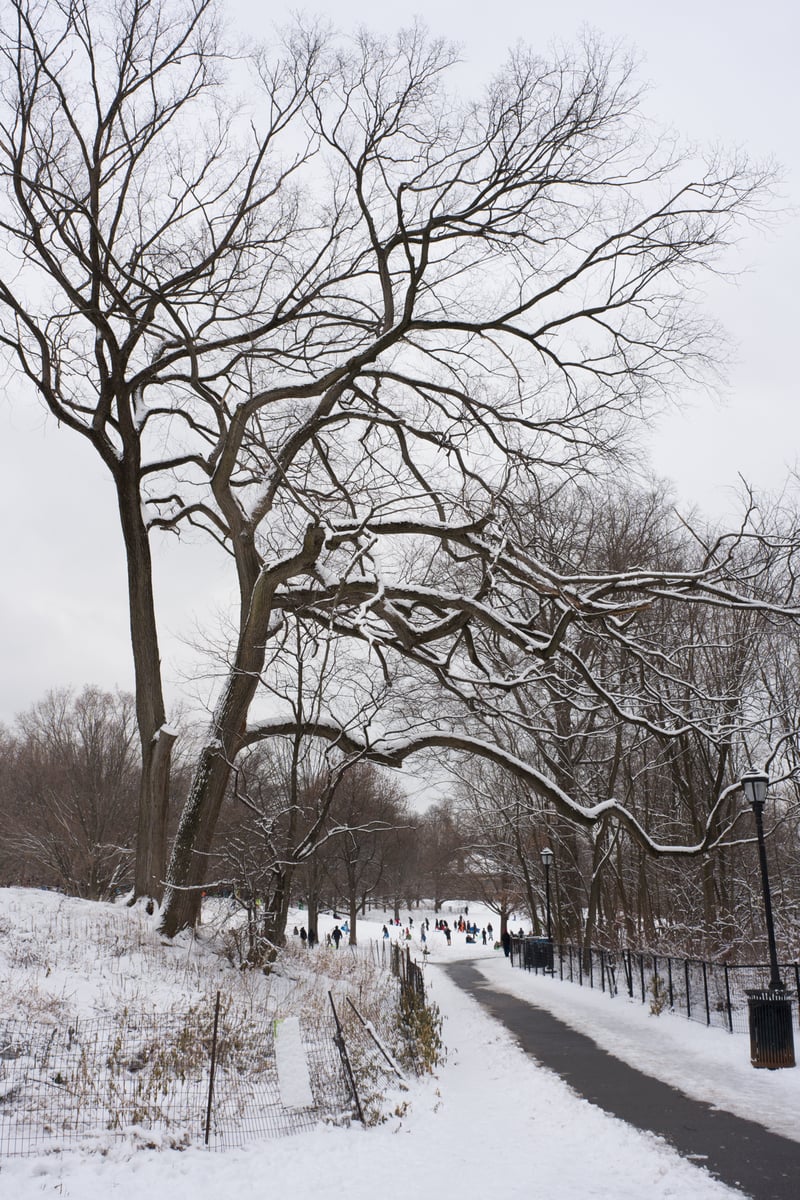 snow 2025-12-27-69.png
