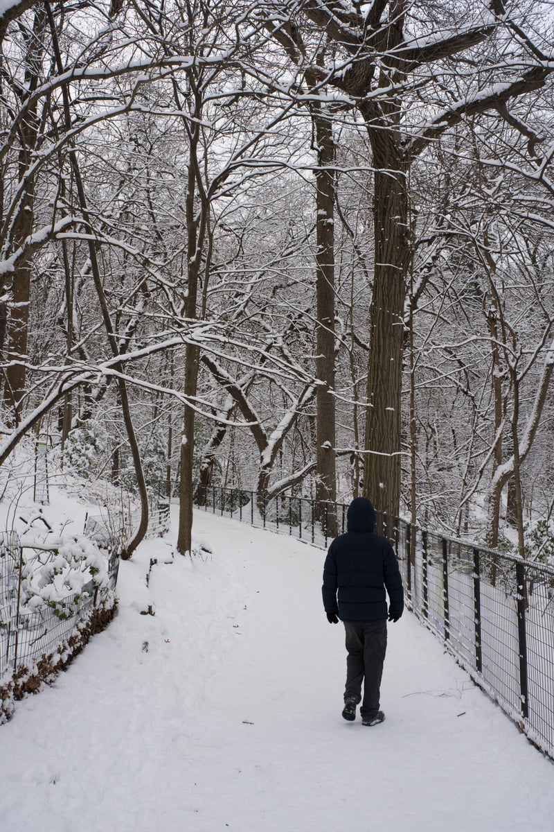 snow 2025-12-27-80.png