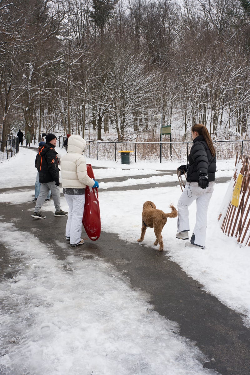 snow 2025-12-27-68.png