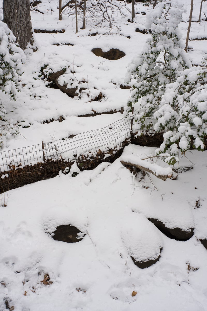 snow 2025-12-27-87.png