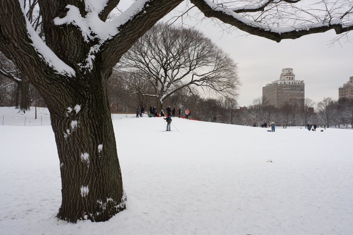 snow 2025-12-27-105.png