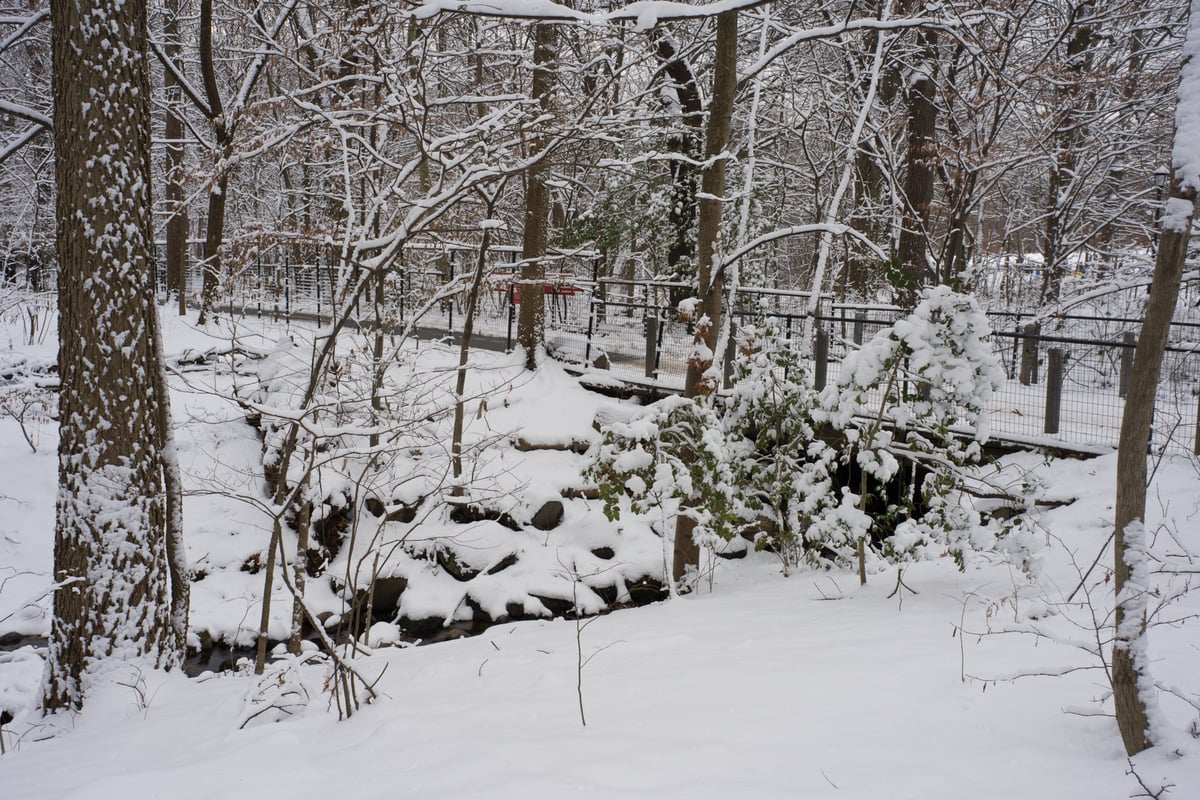 snow 2025-12-27-81.png