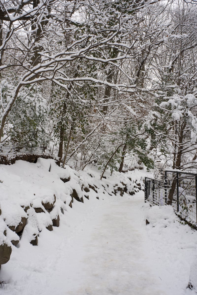 snow 2025-12-27-89.png