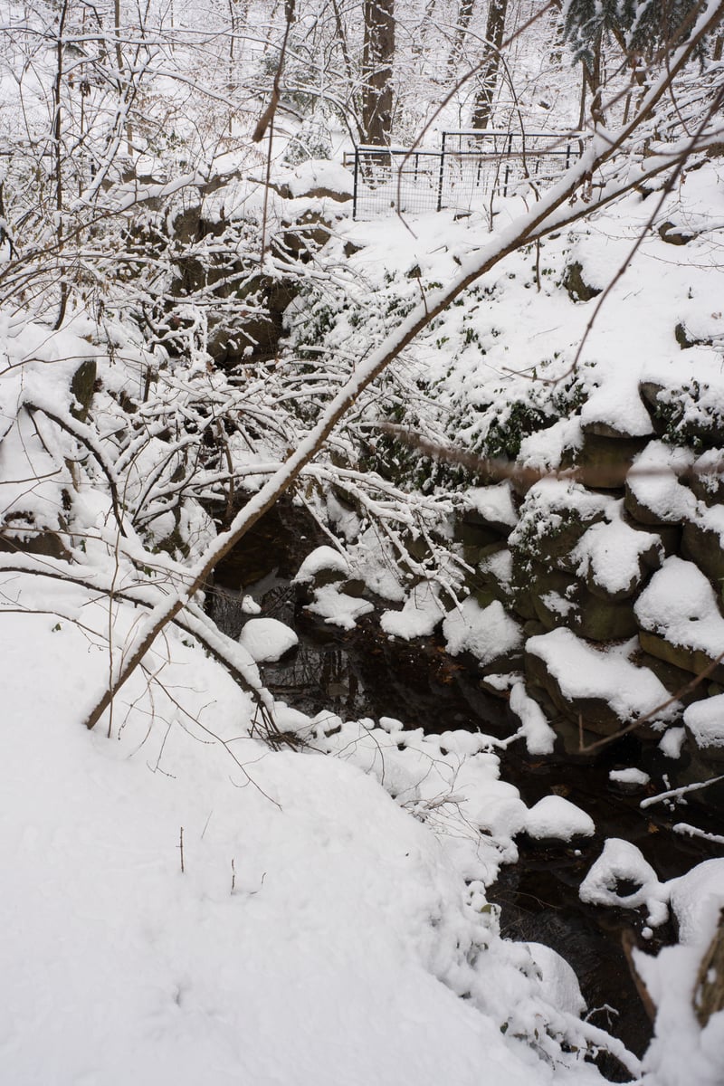 snow 2025-12-27-90.png