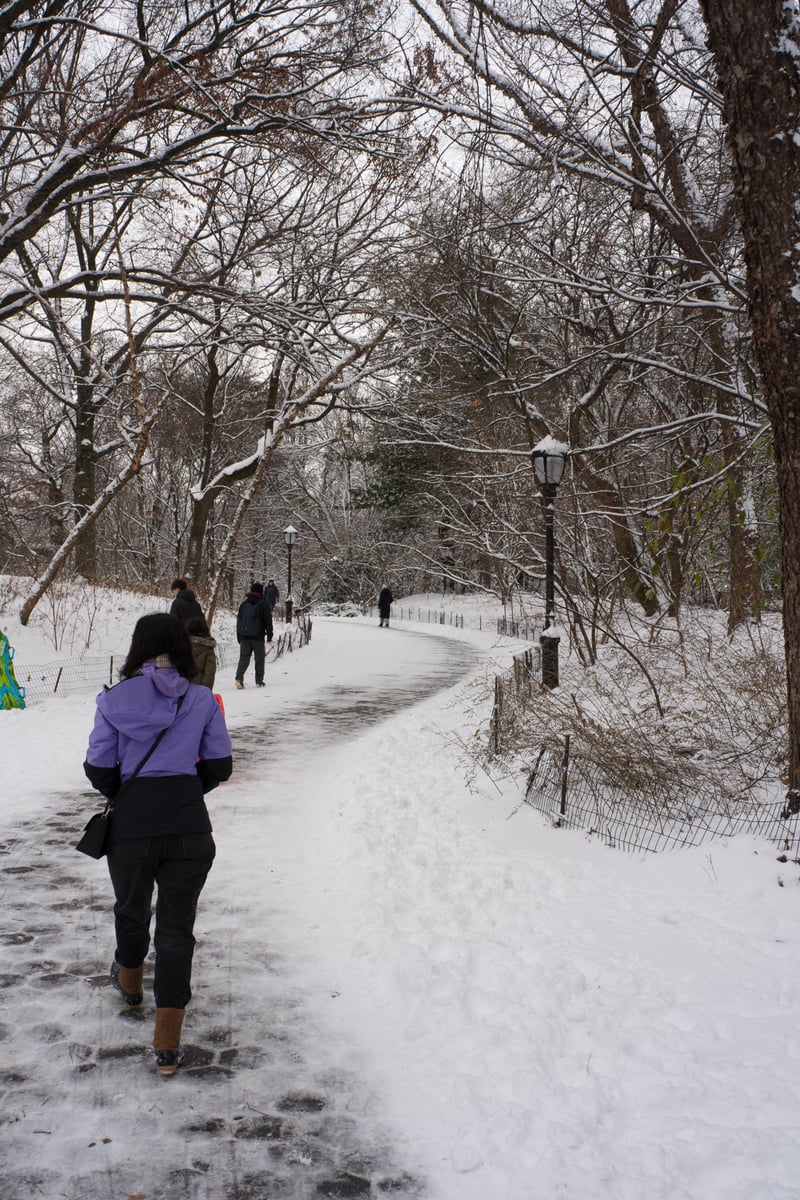 snow 2025-12-27-32.png