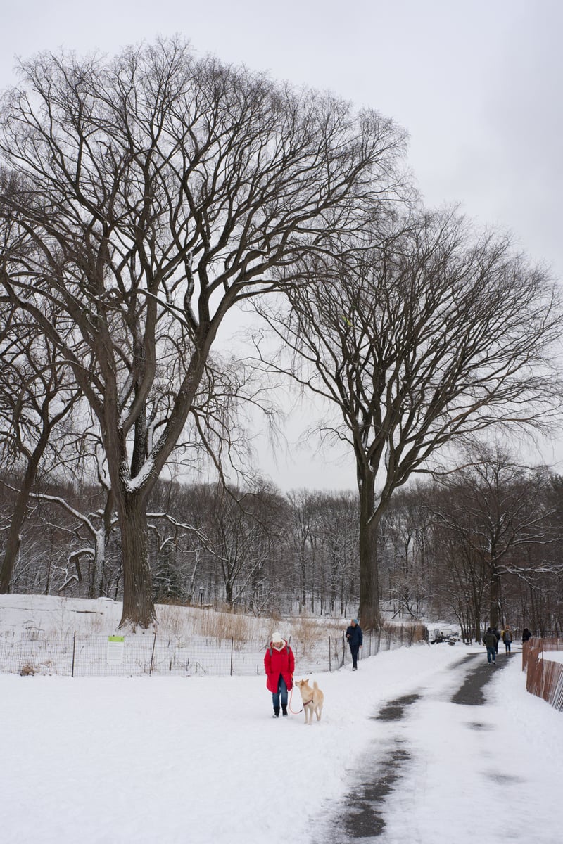 snow 2025-12-27-64.png
