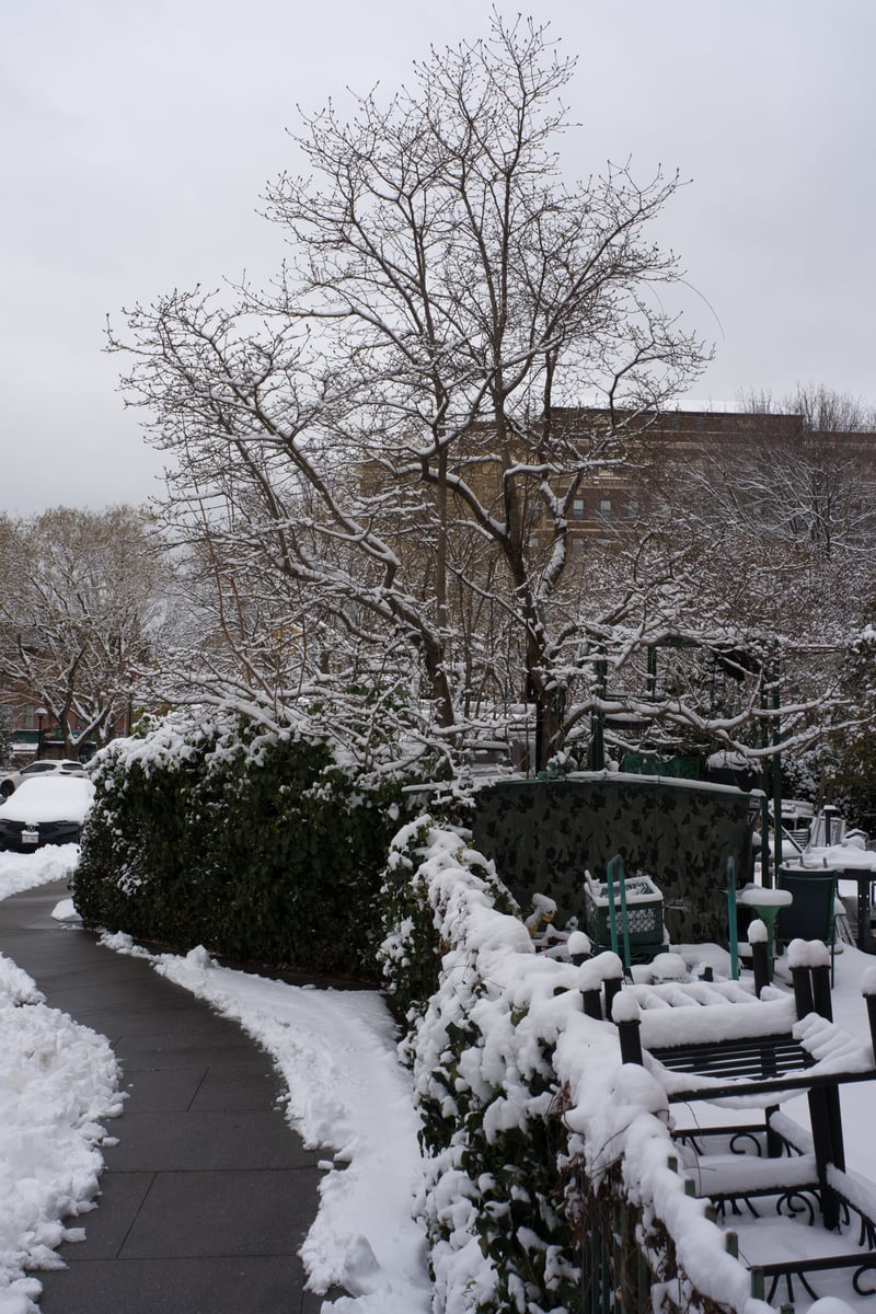 snow 2025-12-27-7.png