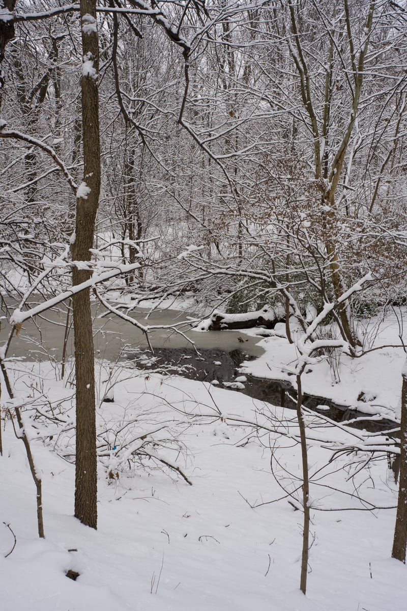snow 2025-12-27-83.png