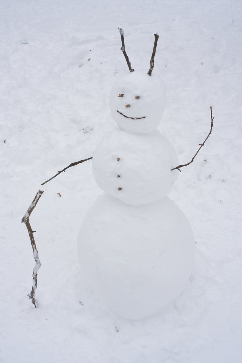 snow 2025-12-27-106.png