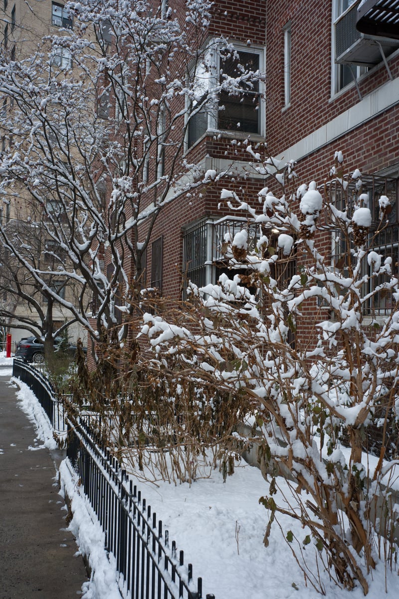 snow 2025-12-27-119.png