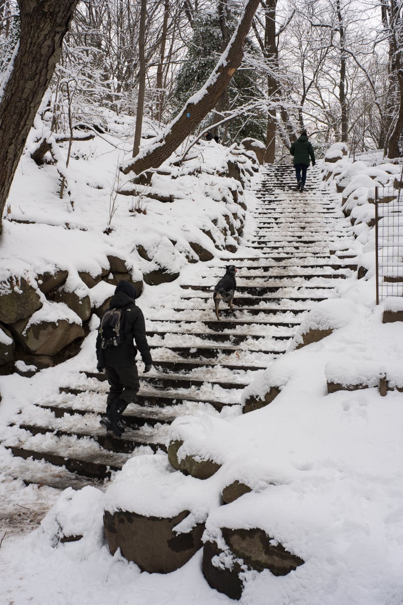 snow 2025-12-27-93.png