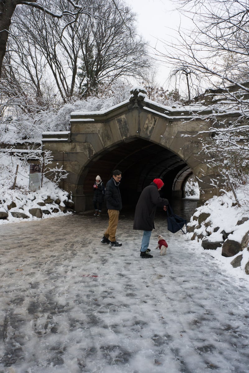 snow 2025-12-27-108.png