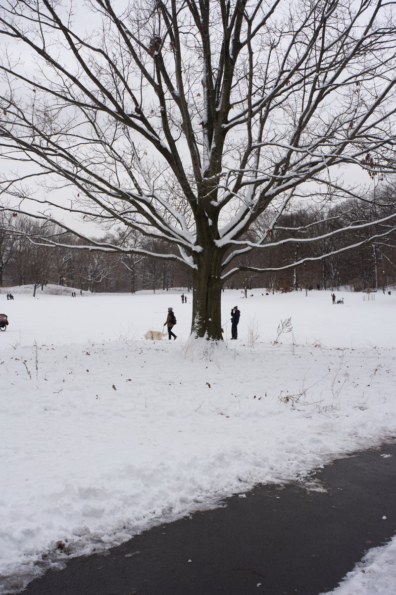snow 2025-12-27-38.png
