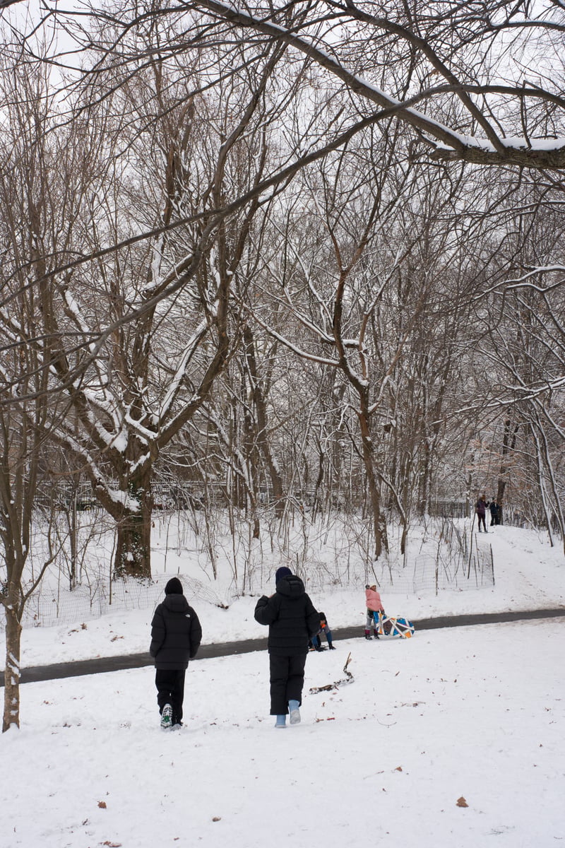 snow 2025-12-27-58.png
